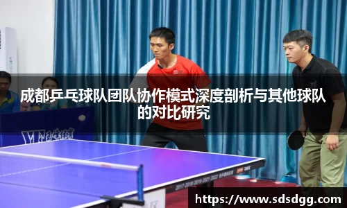 成都乒乓球队团队协作模式深度剖析与其他球队的对比研究