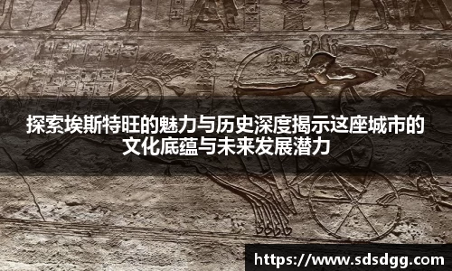 NG体育