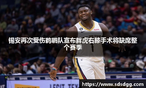 NG南宫体育